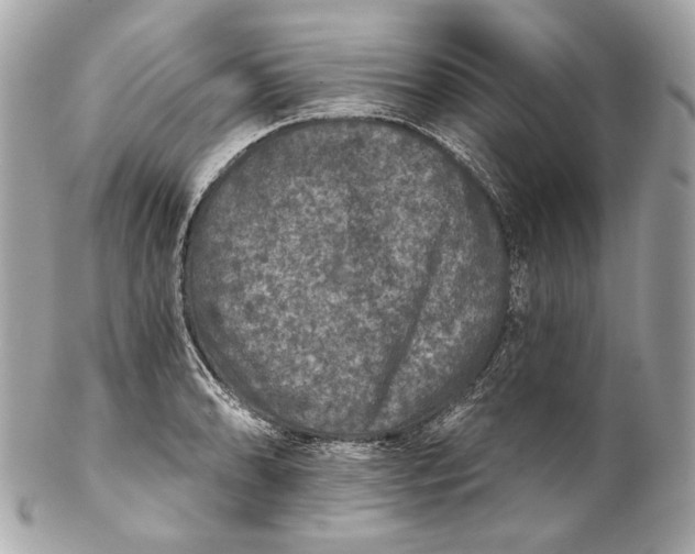 X0000102241086200808151748