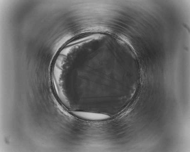 X0000102241087200808151748