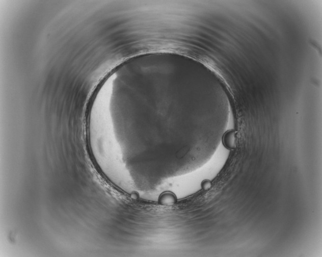 X0000102241088200808151748