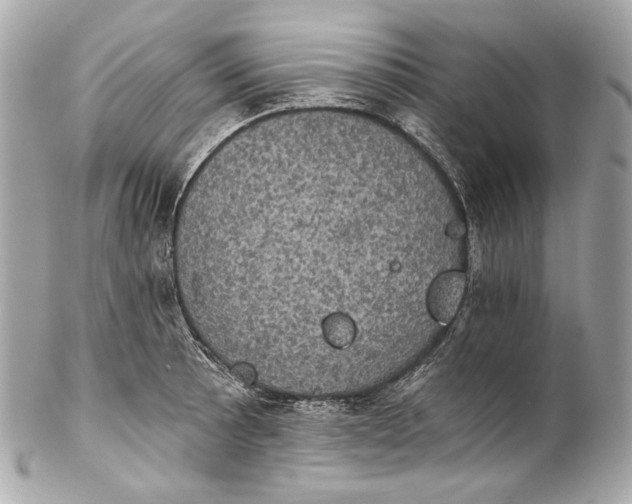 X0000102241089200808151748