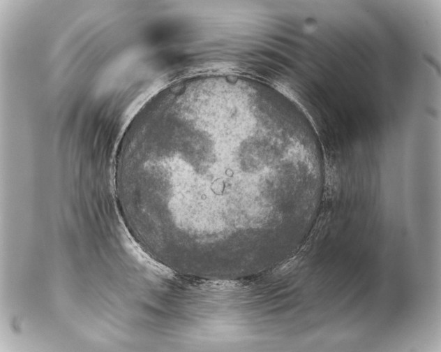 X0000102241090200808151748