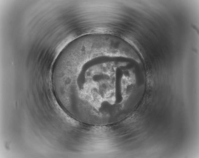 X0000102241091200808151748