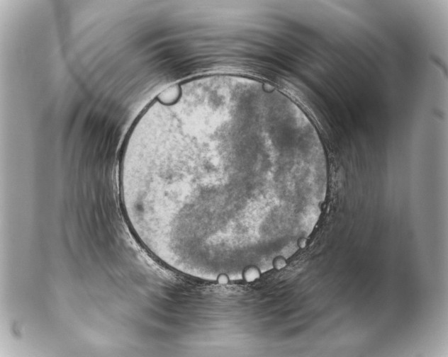 X0000102241092200808151748