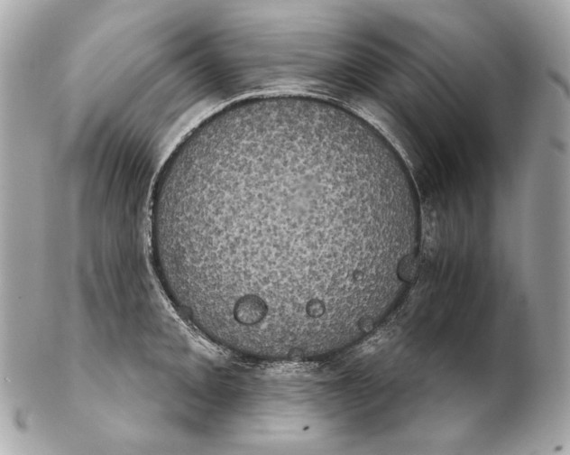 X0000102241093200808151748