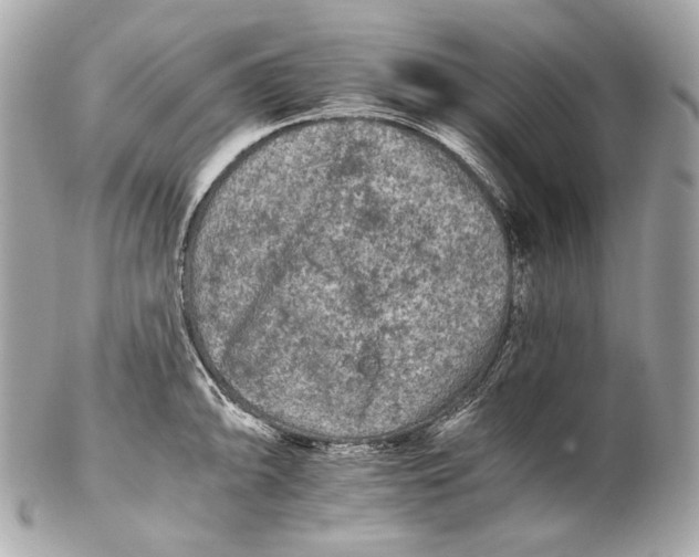 X0000102241094200808151748