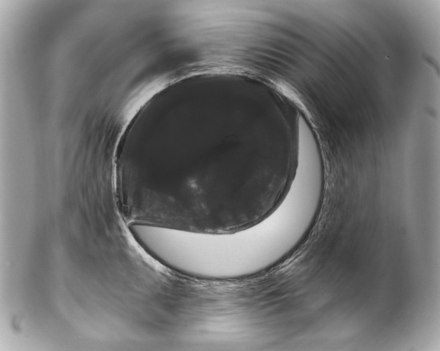 X0000102241095200808151748