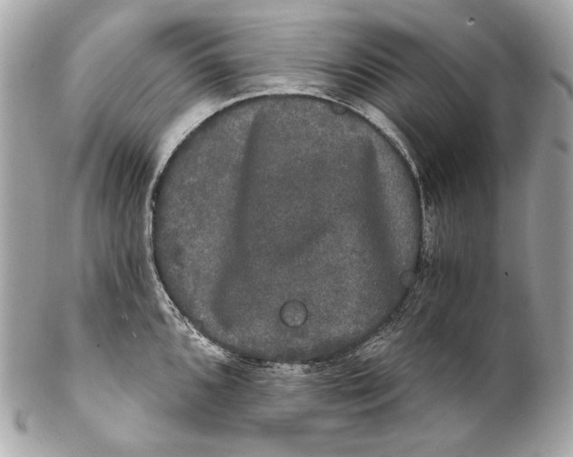 X0000102241096200808151747