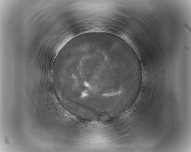 X0000102241097200808151747