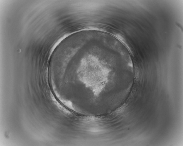 X0000102241100200808151747