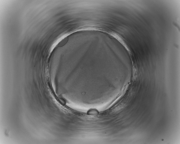 X0000102241101200808151747