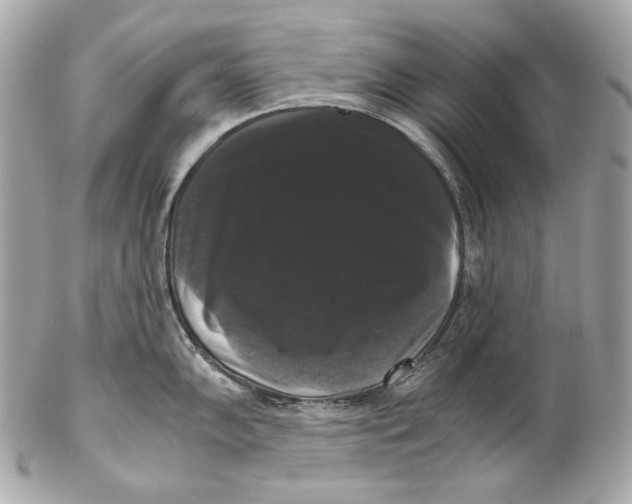 X0000102241102200808151747