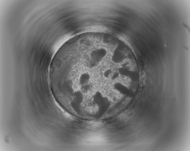 X0000102241103200808151747