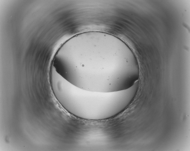 X0000102241104200808151747