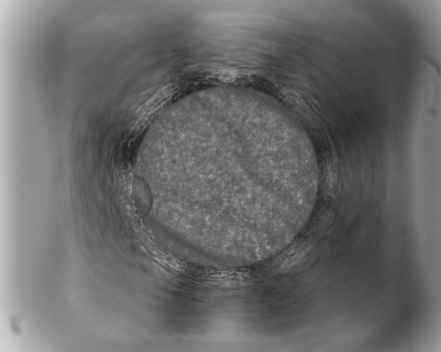 X0000102241105200808151746