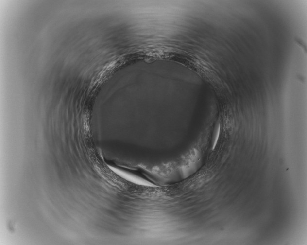 X0000102241106200808151746