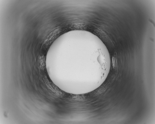 X0000102241107200808151746