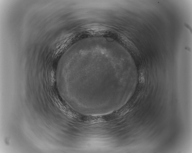 X0000102241108200808151746