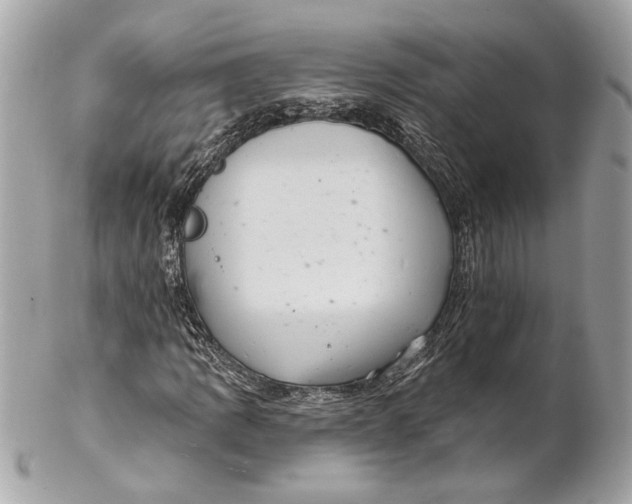 X0000102241109200808151746