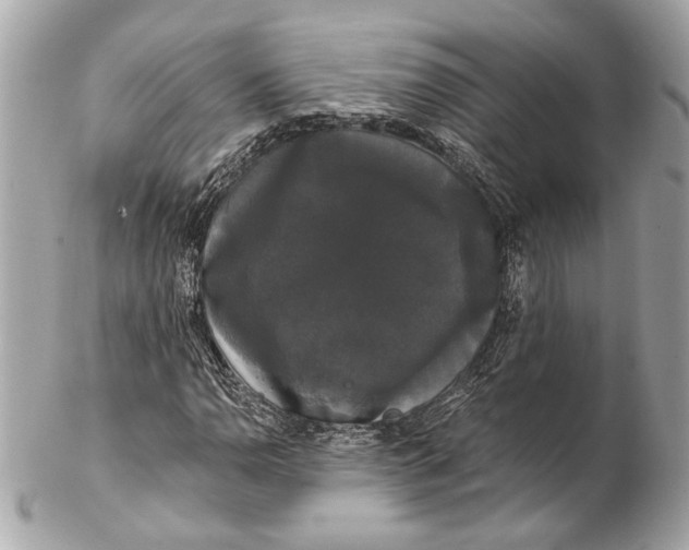 X0000102241110200808151747