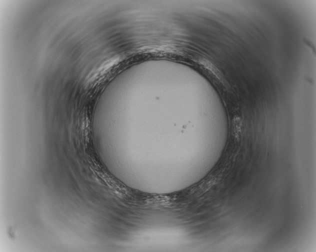 X0000102241111200808151747