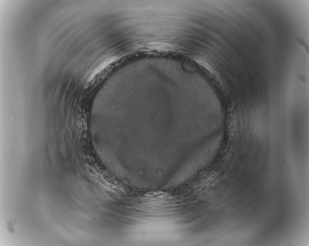 X0000102241112200808151747