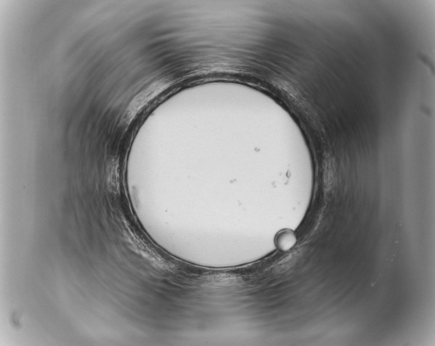 X0000102241113200808151747