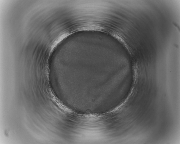 X0000102241114200808151747