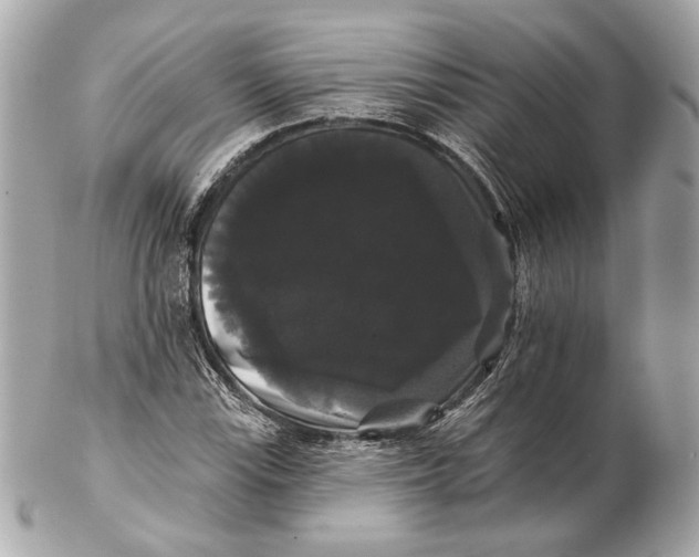 X0000102241115200808151747