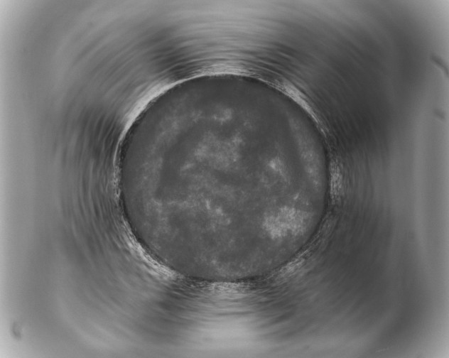 X0000102241116200808151747