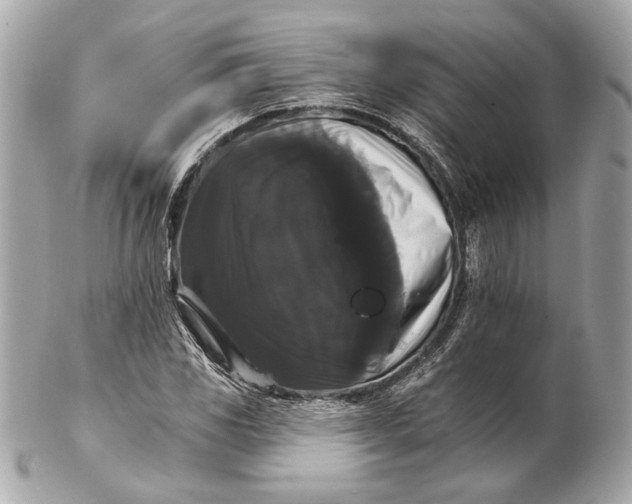 X0000102241117200808151747