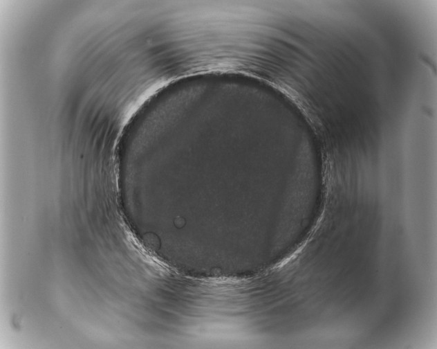 X0000102241118200808151747