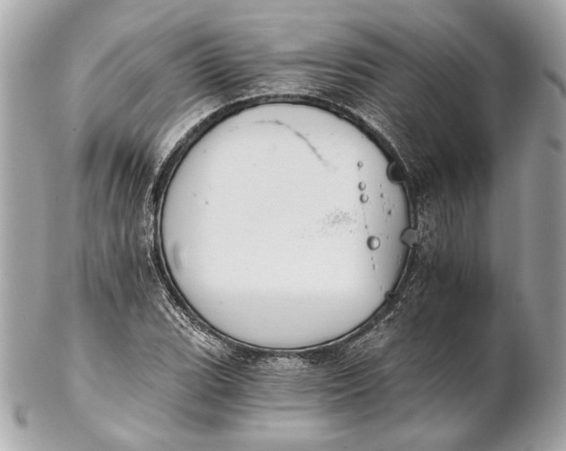 X0000102241119200808151747