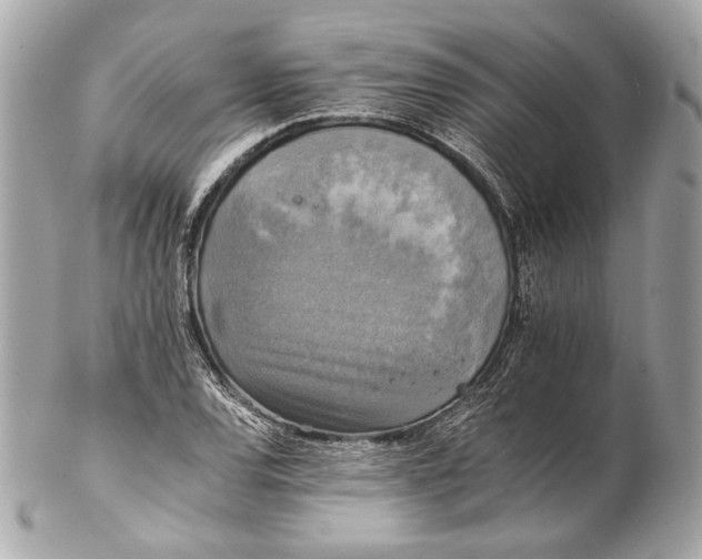 X0000102241120200808151747