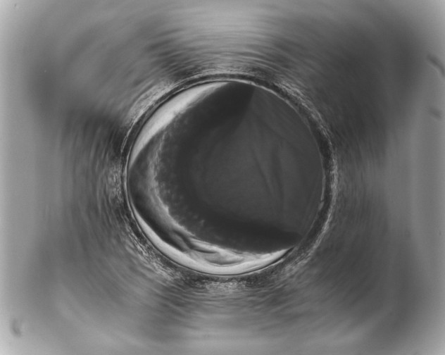 X0000102241121200808151747