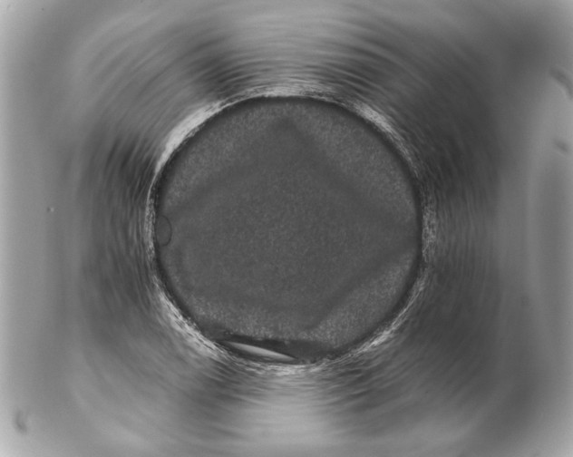 X0000102241122200808151747