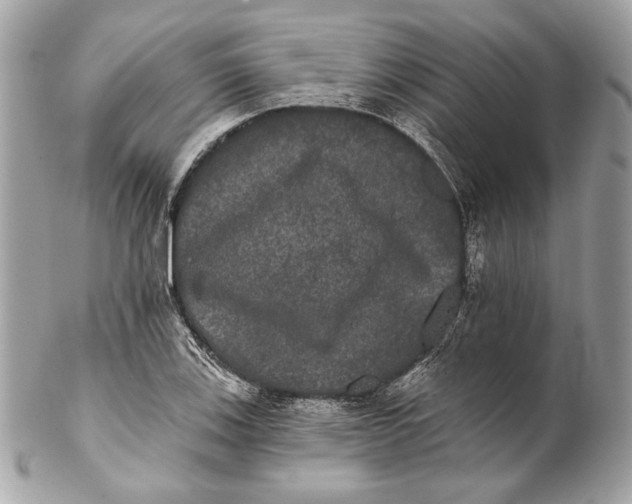 X0000102241123200808151747