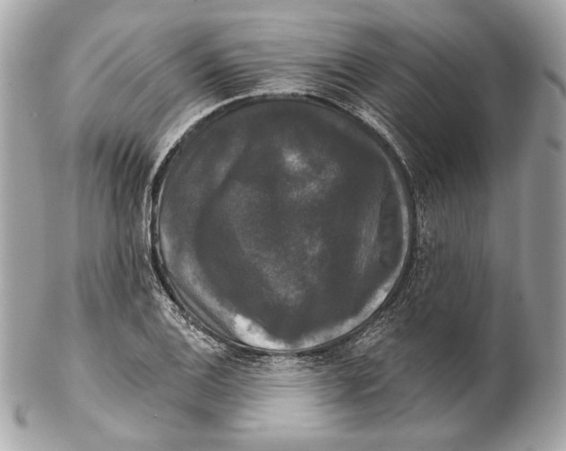 X0000102241124200808151747