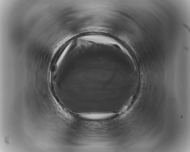 X0000102241125200808151747