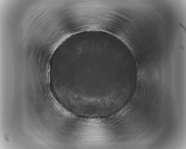 X0000102241126200808151747