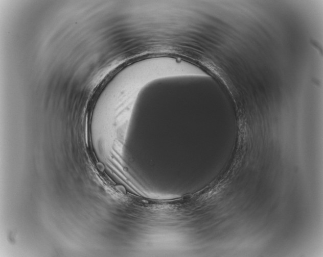 X0000102241127200808151747