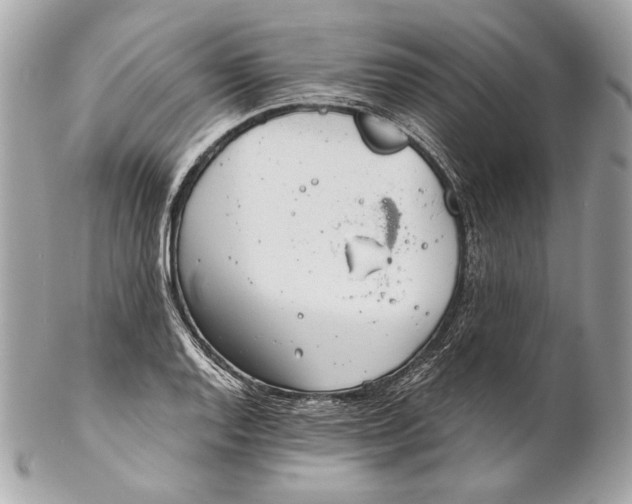 X0000102241128200808151747