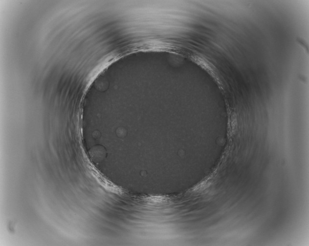 X0000102241130200808151747