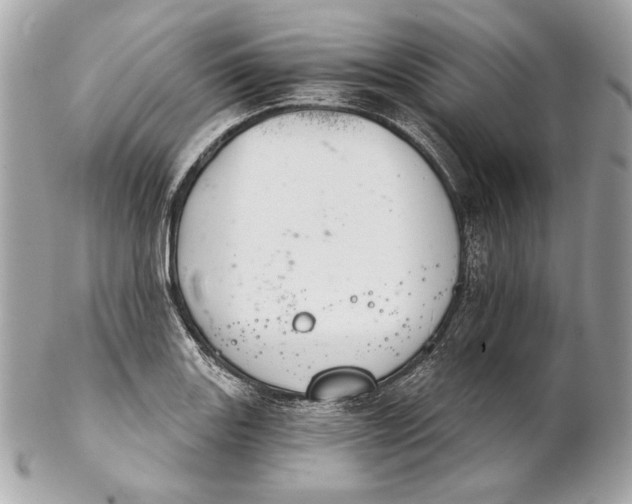 X0000102241131200808151747