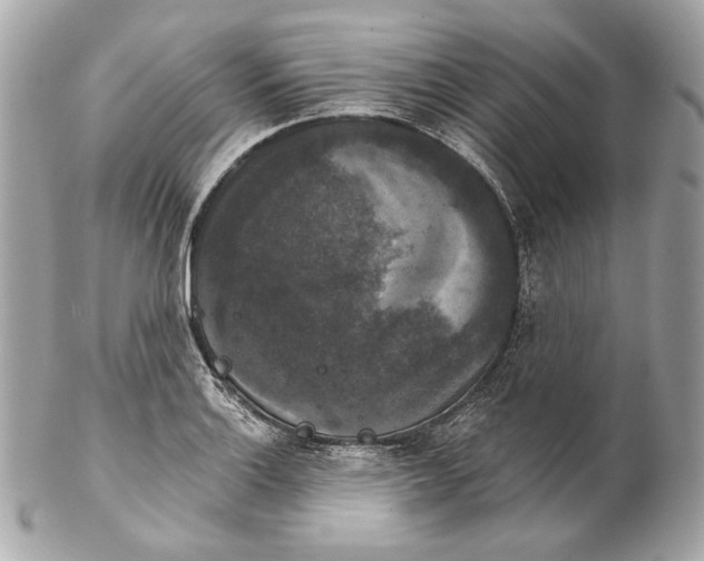 X0000102241132200808151747