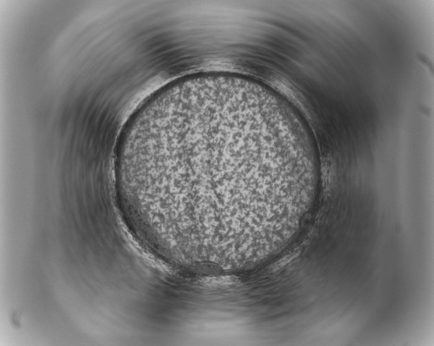 X0000102241133200808151747