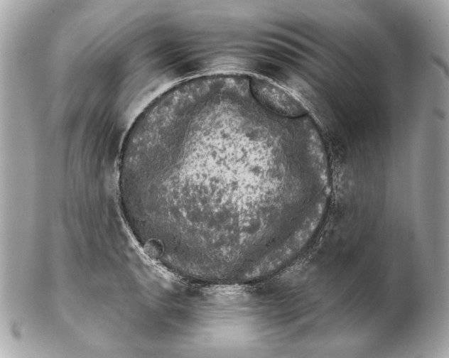 X0000102241134200808151747