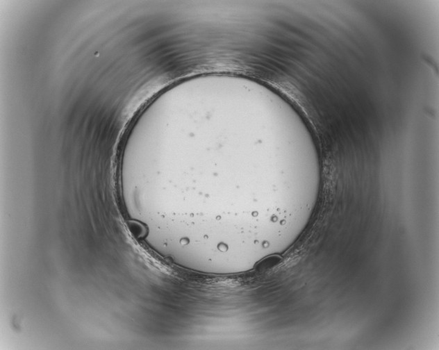 X0000102241135200808151747