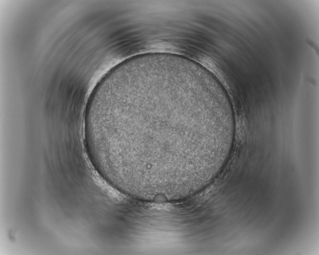 X0000102241136200808151747