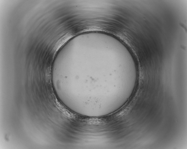 X0000102241137200808151747