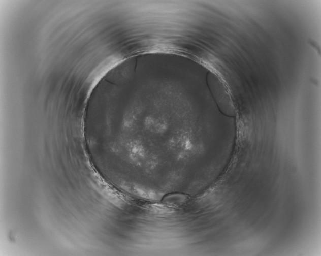 X0000102241138200808151747